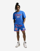 Chicago Cubs Area Code Mesh Shorts