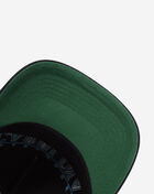 Carolina Panthers City Line Hitch Snapback Hat