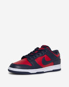 Dunk Low Retro
