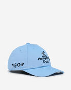 Hennything Goes Dad Hat