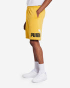 Big Fleece Logo Shorts