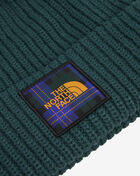 The North Face Salty Dog Beanie NF0A3FJW-83L Green 3