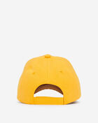 Retro Fitted Hat