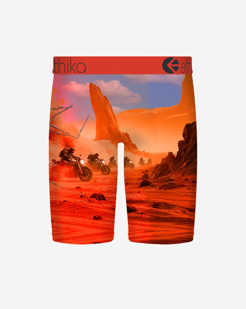 Ethika Mad Mars Briefs MSUAAF2609 Multi 3
