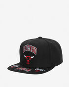 Chicago Bulls Front Loaded Snapback