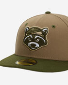 59Fifty Hudson Valley Renegade MILB Fitted Hat