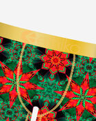 Ethika Moroccan Silk Briefs  MFMAAC2504 Multi 2