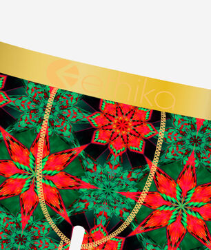 Moroccan Silk Briefs 