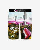 Ethika BMR 3Dreamin Briefs  MLUS3517 Multi 1