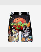 Space Jam Team Briefs