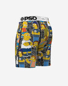 Springfield Mob Briefs