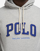 Polo Ralph Lauren Graphic Chenille Polo Logo hoodie 710959017005-GRY Grey 3