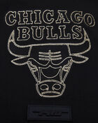 PRO STANDARD Black and Gold Chicago Bulls Tee BCB1513571-BLK Black 4