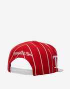 Detroit Red Wings Team Pin Snapback Hat
