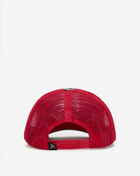 Tiger Skull Hat