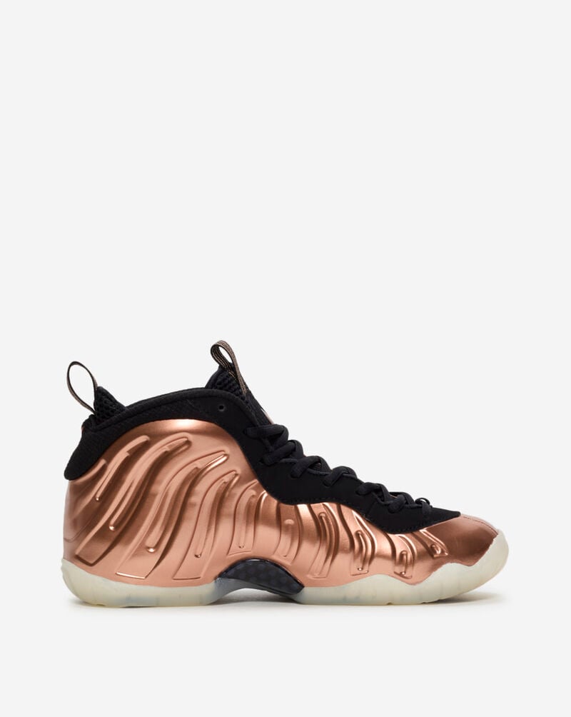 Nike Big Kids' Little Posite One FZ0990-800 Brown 5