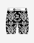 Ethika Grade School Grandeur Briefs BLST3620 Multi 1
