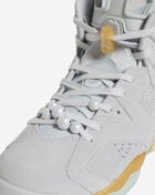 Air Jordan 6 Retro