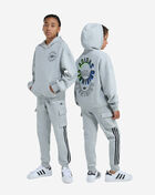 adidas Kids' Originals Emblem Ring Hoodie OA01198-MEDHTHRGRY Grey 3