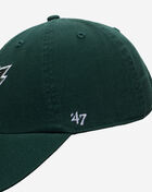 Philadelphia Eagles Clean Up Dad Cap
