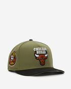 9Fifty Chicago Bulls Green Bark A-Frame Snapback Hat
