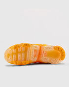 Air Vapormax Plus