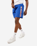 New York Knicks Team Nylon Shorts