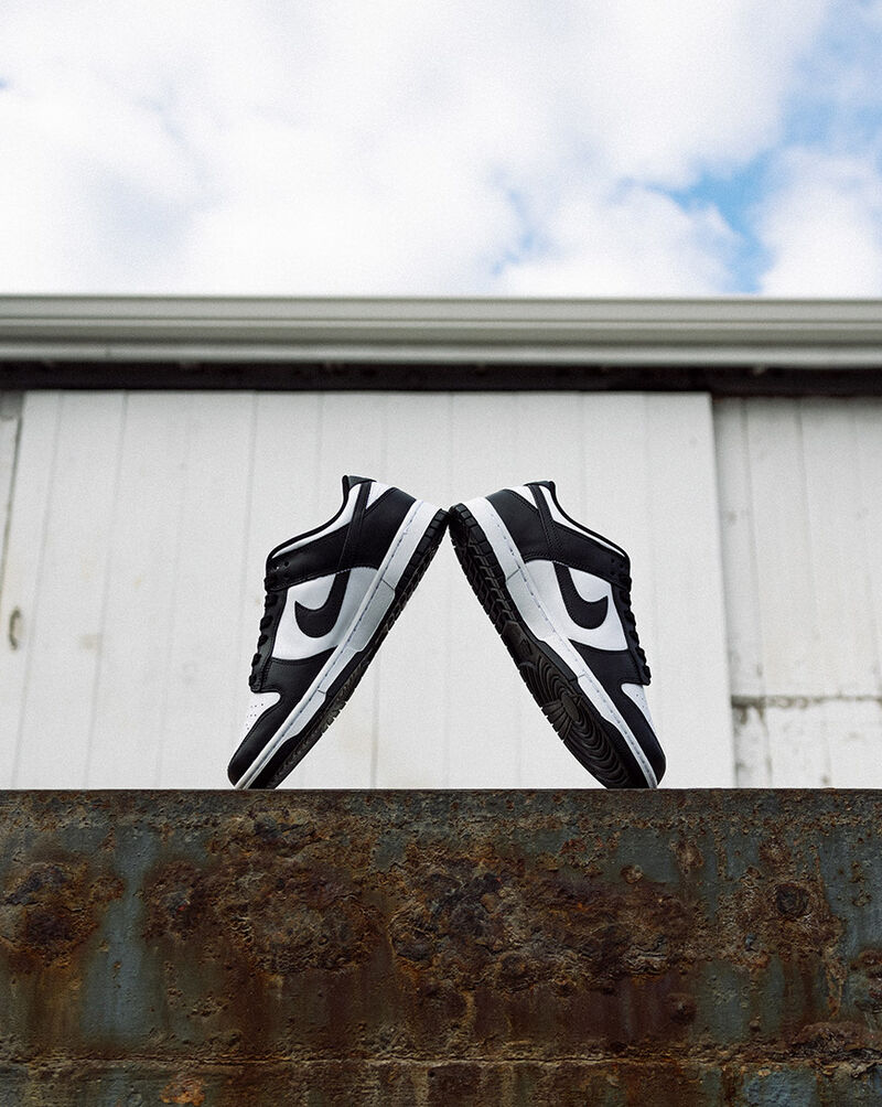 Nike Dunk Low DD1391-100 Black 6