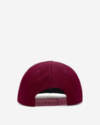 9Fifty Philadelphia Phillies Coop Basic A-Frame Snapback Hat