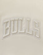 Chicago Bulls Neutral Drop Shoulder Tee