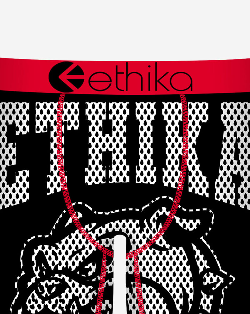 Ethika G.C.H Briefs  BFAAAH2506 Multi 2