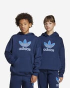 adidas Kids' Trefoil Hoodie  JV8651 Blue 1