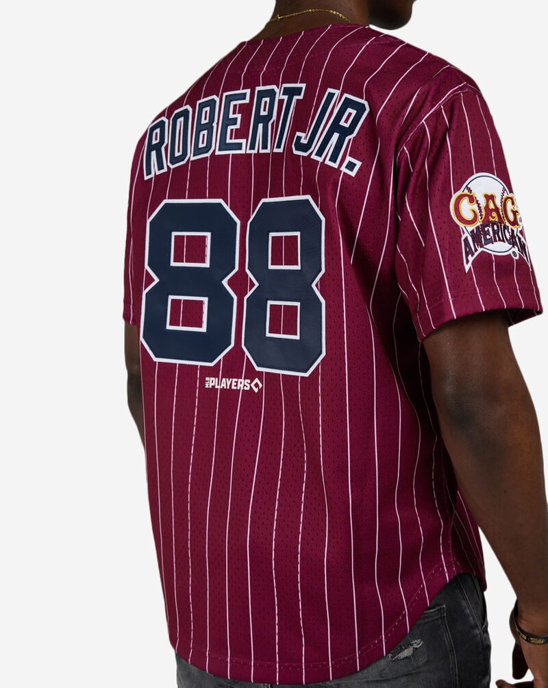 Mitchell  Ness Chicago American Giants Luis Robert Jr. Authentic Batting Practice Pinstripes Jersey JY19328-CAMMAWH Red 3