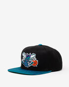 Charlotte Hornets HWC Snapshot Snapback