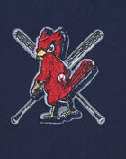 PRO STANDARD St. Louis Cardinals Mash Up Rib Fleece Cropped Pull Over Hoodie  LSCC35233-MRM Blue 4