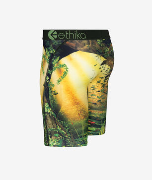 Grade School BMR Petra Briefs