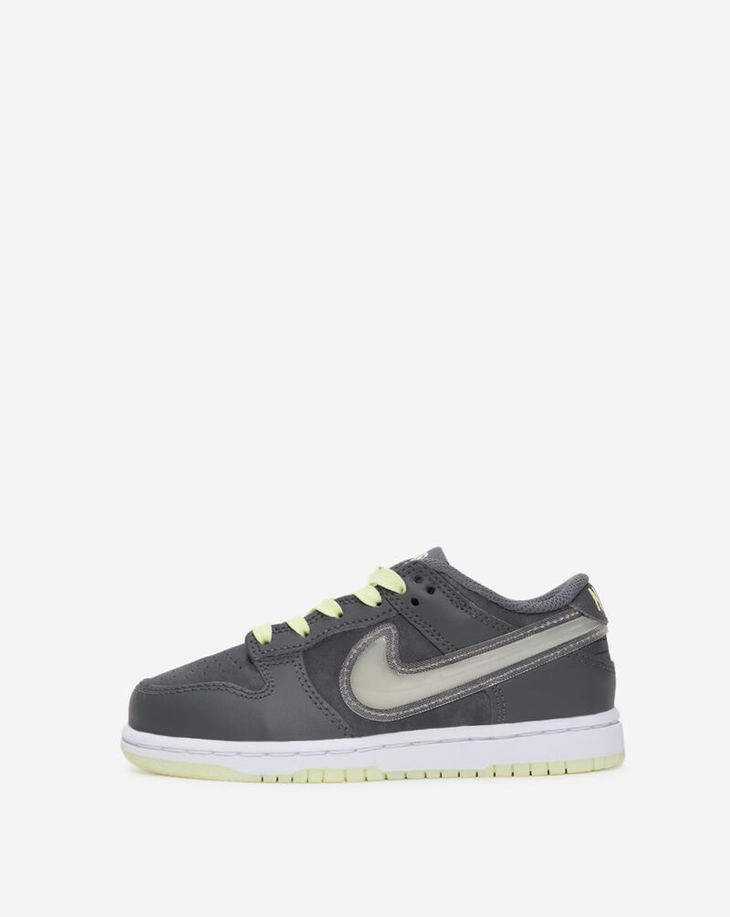 Nike Little Kids' Dunk Low HQ3241-068 Grey 1
