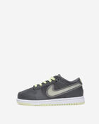 Little Kids' Dunk Low