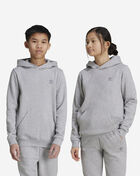 adidas Big Kids' Essential Fleece Hoodie IX5285 Grey 3