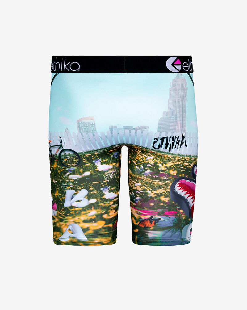 Ethika BMR 3Dreamin Briefs  MLUS3517 Multi 2