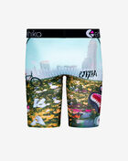 Ethika BMR 3Dreamin Briefs  MLUS3517 Multi 2