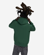 Polo Ralph Lauren Fleece Novelty Polo Society Bear Hoodie  710B14628001-FOR Green 2