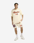 Houston Astros Area Code Mesh Shorts