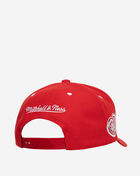 Detroit Red Wings Pro Snapback Hat