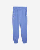 PUMA BMW Motorsport Essential Fleece Pants 62130205 Blue 1