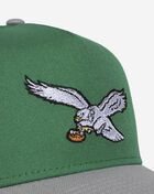 9Forty Philadelphia Eagles A-Frame Snapback Hat