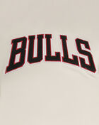 PRO STANDARD Chicago Bulls Retro Classic Double Knit Tee BCB156011-ERD cream 4