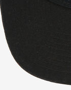 Jordan Pro Element Ingot Cap