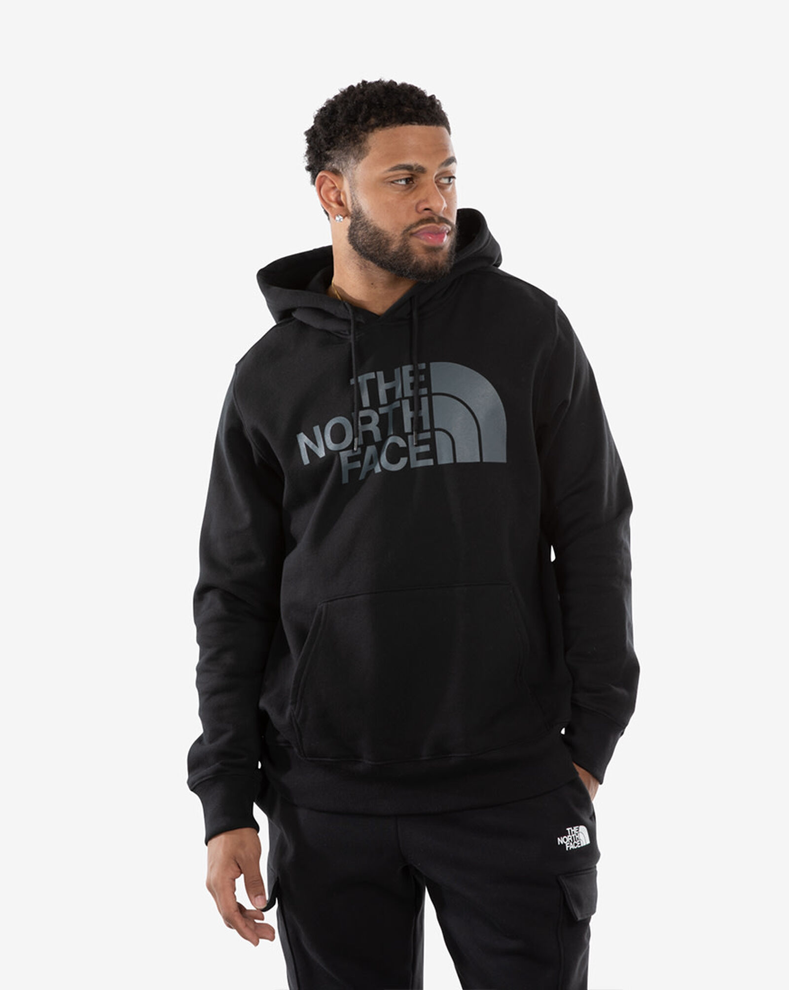 Shop The North Face Half Dome Pullover Hoodie NF0A4M4BKX7 black
