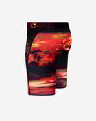 Dark Safari Briefs